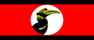 48-flag